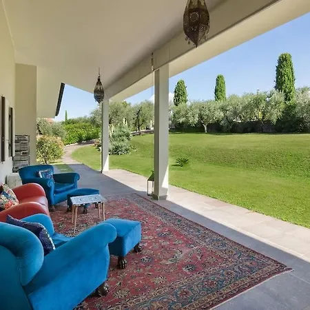 Willa Golden - Verona *